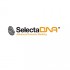 Selectamark Security Systems plc