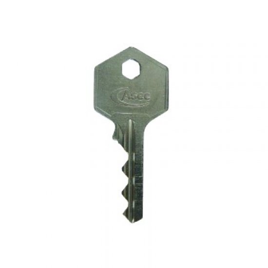 Asec Padlock Master Key