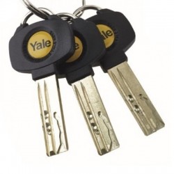 Yale Platinum 3 Star Cut Keys