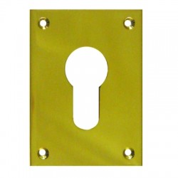 Large Front Fix Euro Escutcheon