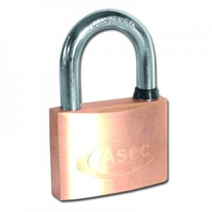 Brass Padlock Keyed The Same