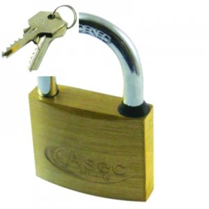 Brass Padlocks Master Keyed